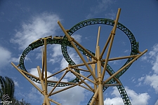Cheetah Hunt