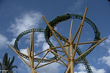 Cheetah Hunt