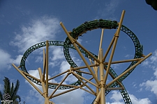 Cheetah Hunt