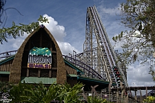 Iron Gwazi
