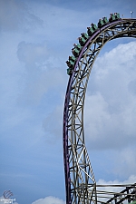 Iron Gwazi
