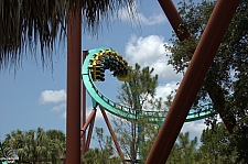 Kumba