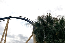 Montu