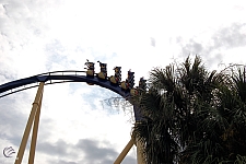 Montu