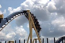 Montu