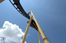 Montu