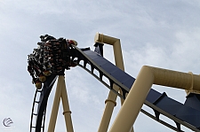 Montu