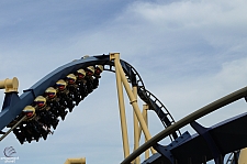 Montu