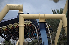 Montu