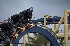 Montu