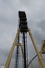 Montu