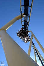 Montu