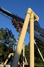 Montu