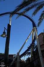 Montu