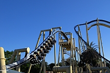 Montu