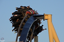 Montu