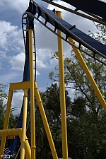 Montu