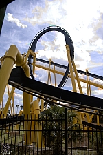 Montu