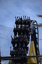 Montu
