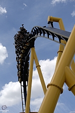 Montu