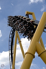 Montu