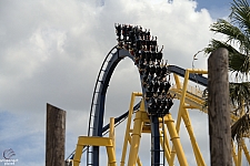 Montu