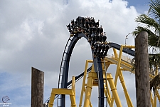 Montu