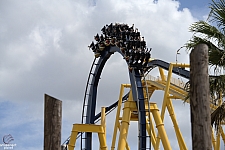Montu