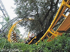 Python