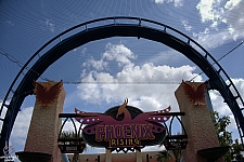 Phoenix Rising