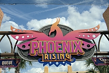 Phoenix Rising