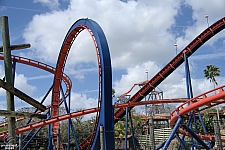 Scorpion