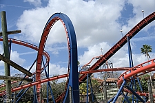 Scorpion