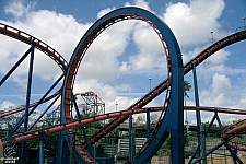 Scorpion