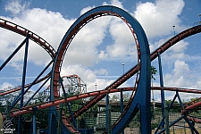 Scorpion