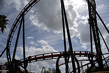 Scorpion