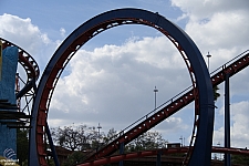 Scorpion