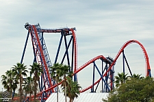 SheiKra