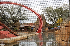 SheiKra