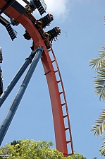 SheiKra