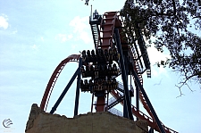 SheiKra