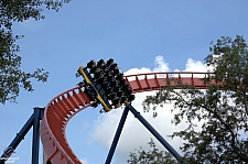 SheiKra