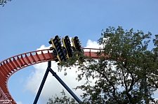 SheiKra