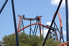 SheiKra