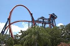 SheiKra