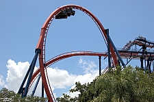 SheiKra