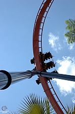 SheiKra