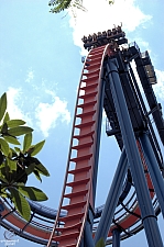 SheiKra