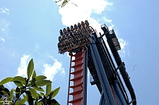 SheiKra