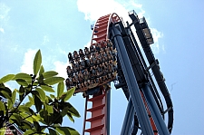 SheiKra